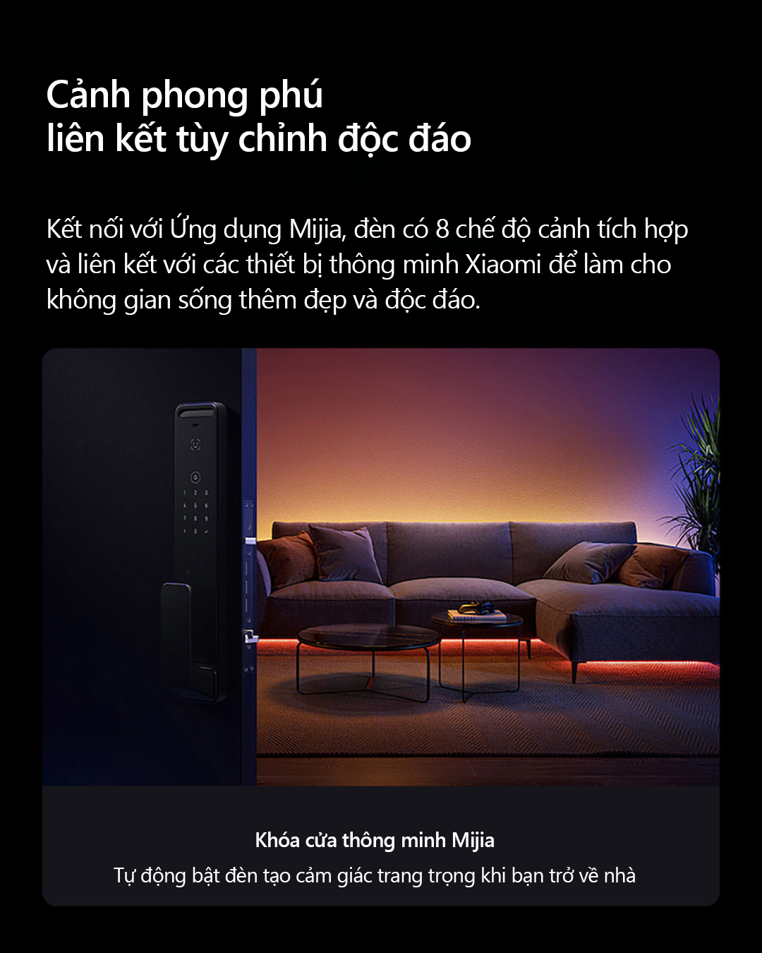 Tự Làm Nhà Thông Minh Xiaomi Hướng Dẫn Chi Tiết Cho Người Mới Bắt Đầu