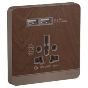 Ổ cắm Schneider AvatarOn (1 ổ cắm + 2 USB) - Ảnh 3