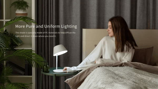 kiotviet_d59008e995ff9400f53dc51f5716dc9a