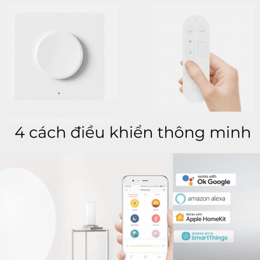 kiotviet_dfe97f42c0da825c8fa83323a4028f8b